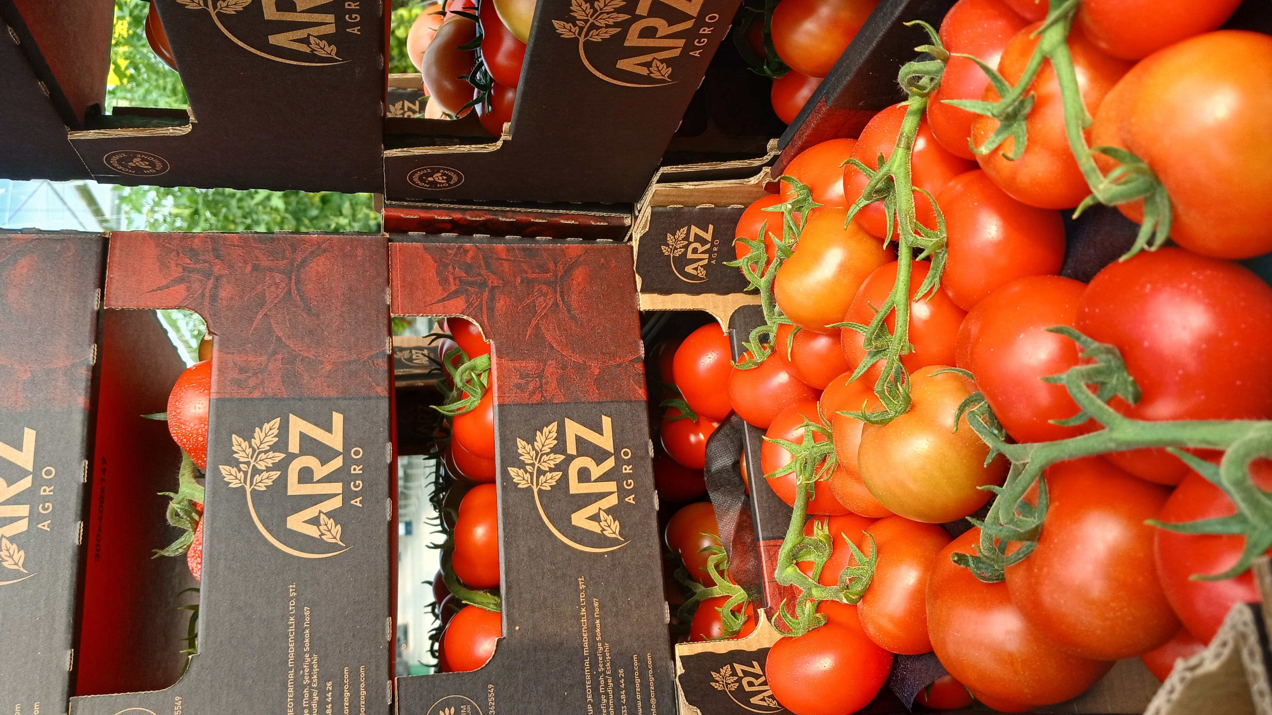 Paketleme