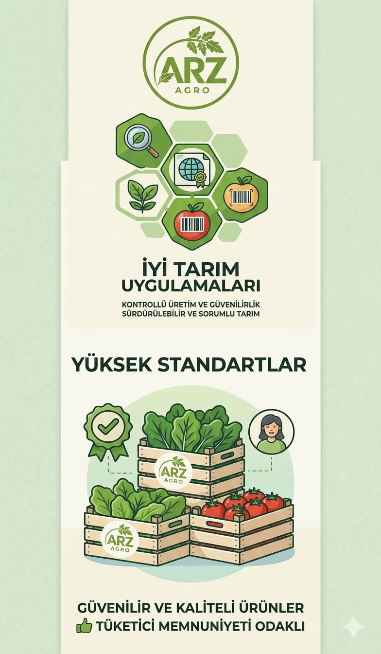 Sertifika 5