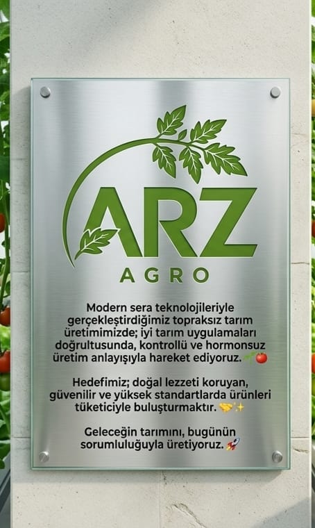 Sertifika 6